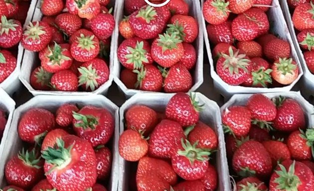 Foto von Mohamed's Obst- und Gemüsestand am Platz der Vereinten Nationen