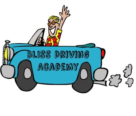 Photo of BLISS Driving Academy LLC
