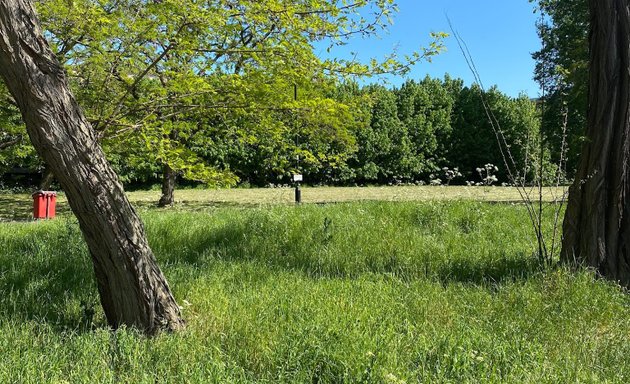 Photo of Max Roach Park (central part)