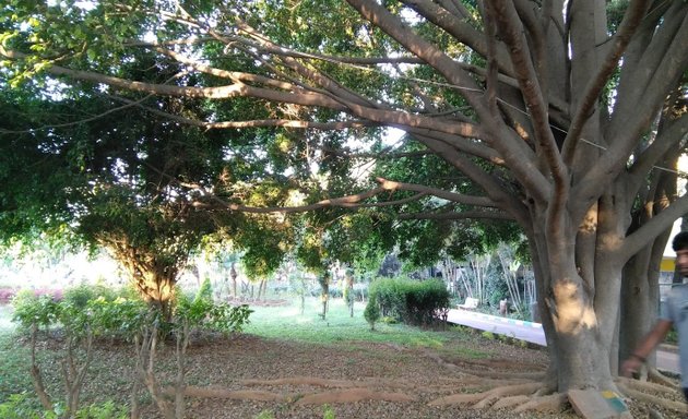 Photo of Btm Extnd Park