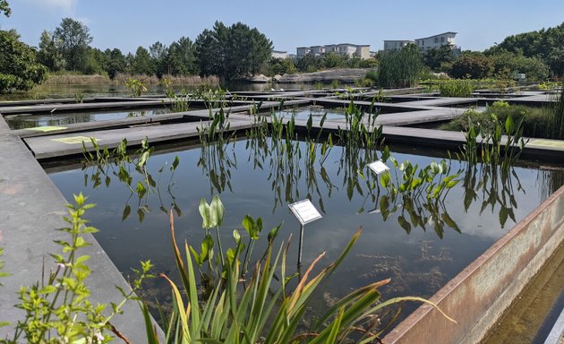 Photo de Parc aux Angéliques