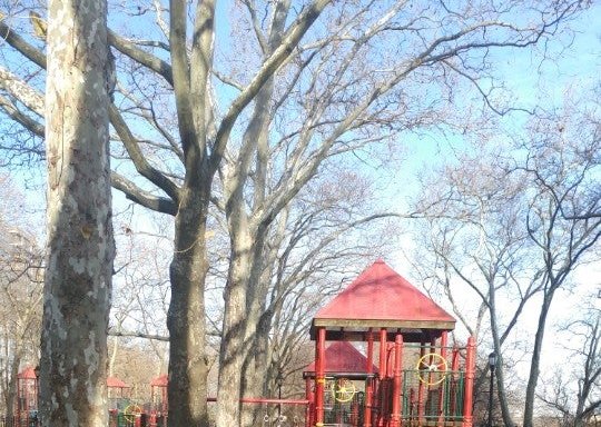 Photo of Catbird Playground