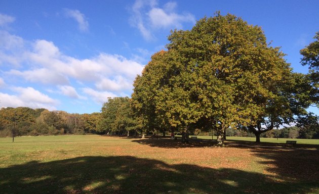 Photo of Southampton Common