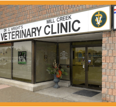 Photo of Millcreek Veterinary Clinic Mississauga