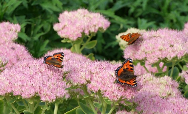 Photo of Grappenhall Heys Walled Garden