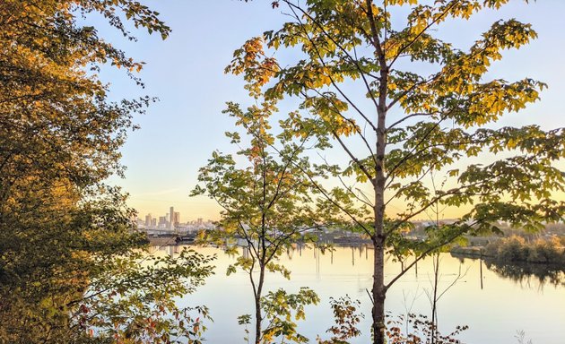 Photo of Herring's House Park