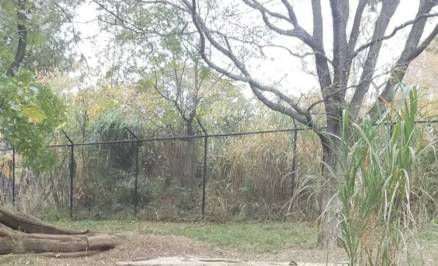 Photo of Maryland Zoo Carousel