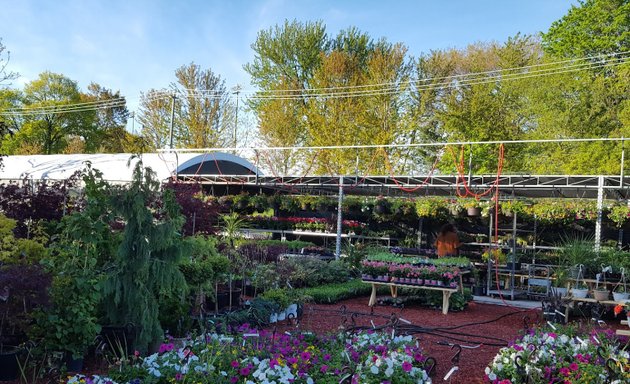 Photo of Earlscourt Market Garden