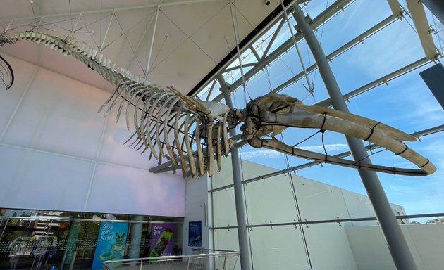 Photo of Natural History Museum Gift Shop