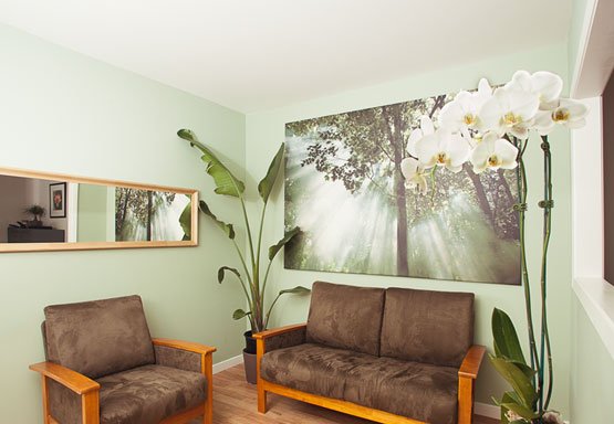 Photo of Tree of Qi Acupuncture Clinic