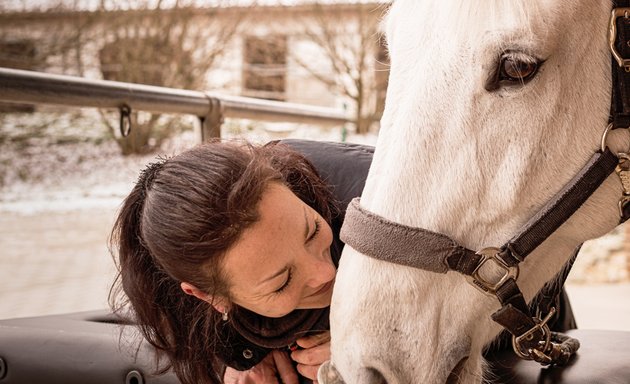 Foto von Seraina Stangier ganzheitliche Therapie für Mensch und Pferd tfmp