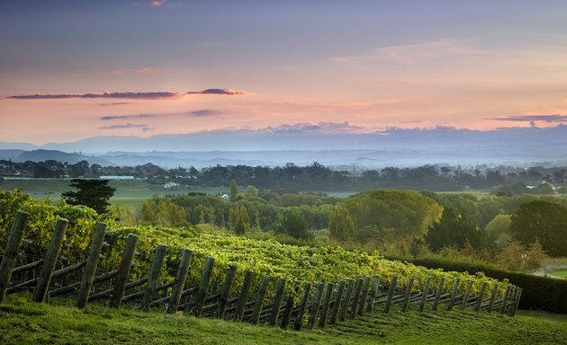 Photo of North South Wines - Wine Importer UK