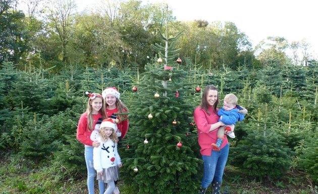 Photo of Castletreasure Christmas Tree Farm