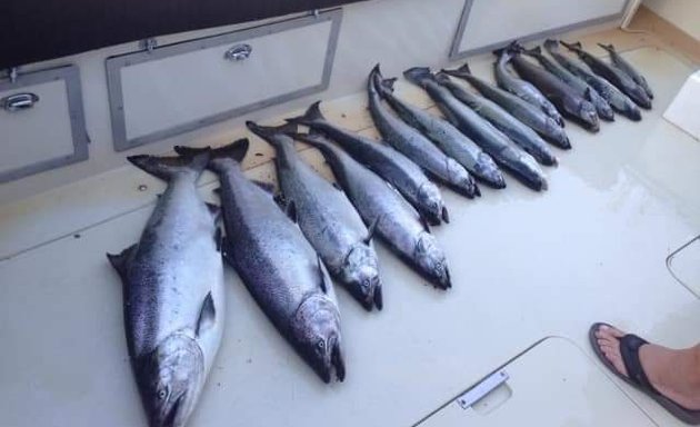 Photo of Square Tail Charters