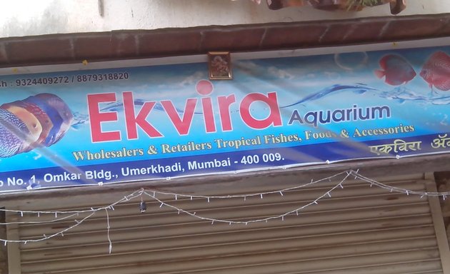 Photo of Ekvira Aquarium