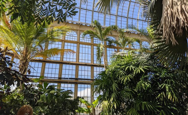 Photo of Rawlings Conservatory