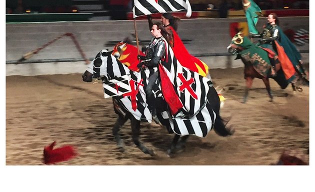 Photo of Medieval Times Dinner & Tournament
