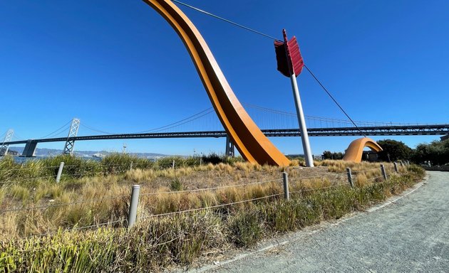 Photo of Cupid's Span