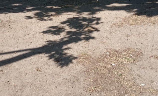 Foto de Cancha Básquetbol