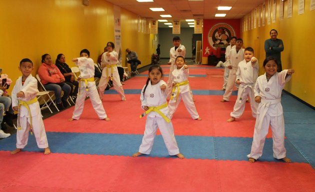 Photo of Rosales Golden Tigers Tkd Inc.