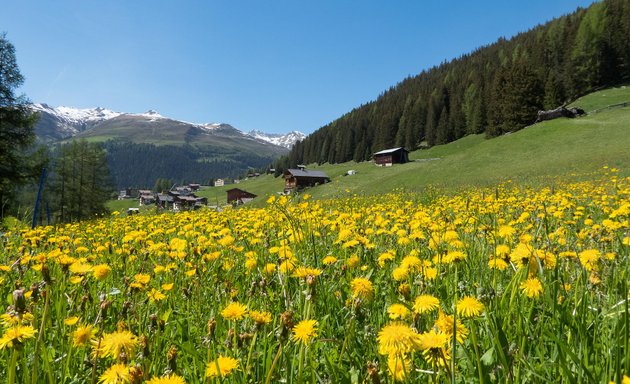 Foto von Das Fotografieinstitut - Schweiz