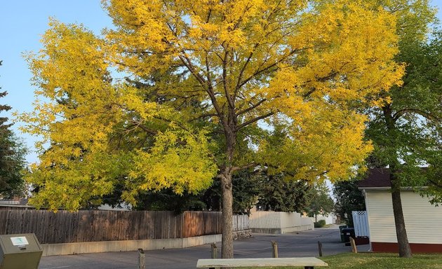 Photo of City of Calgary 48th street Playground