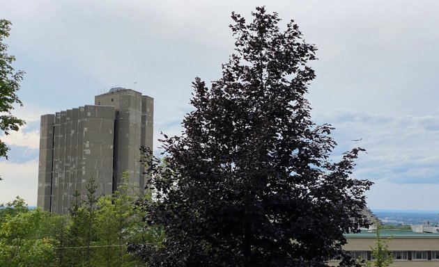 Photo of University of Montreal - Residence C