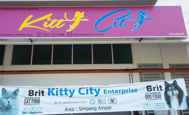 Photo of Kitty City