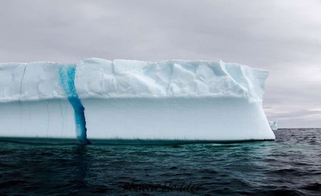 Photo of Iceberg Management
