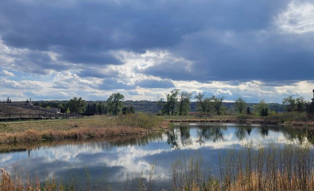 Photo of Zipline Park