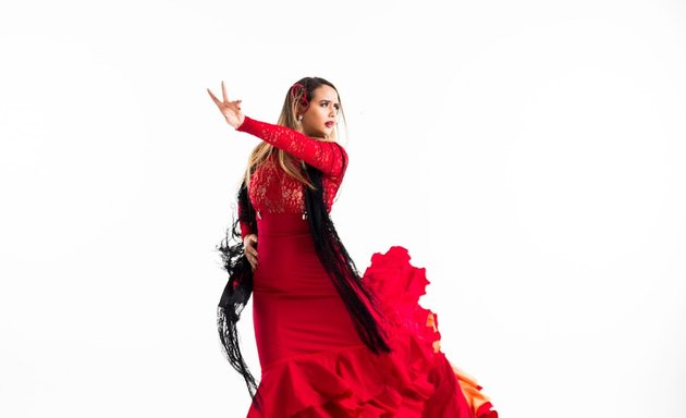 Foto de Flamenco Show RD