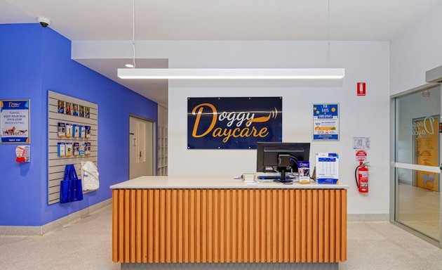 Photo of Doggy Daycare by AdelaideVet