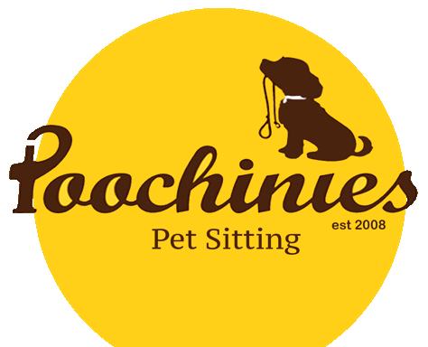 Photo of Poochinies Petsitting and Homeboarding