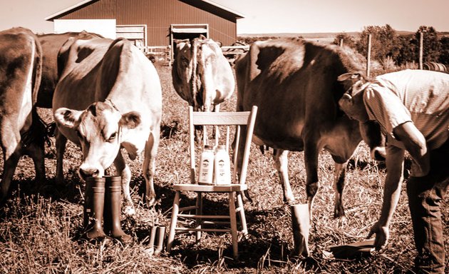 Photo of Fox Hill Cheese House