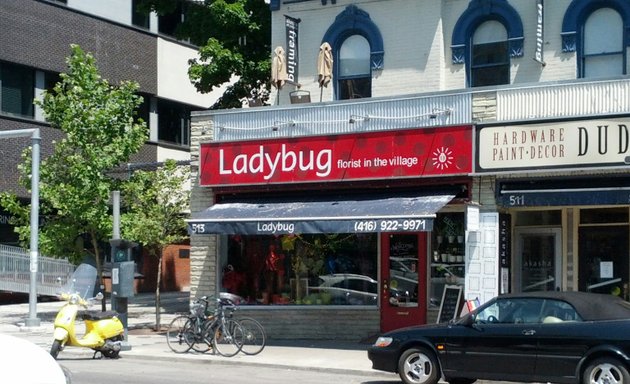 Photo of Ladybug Florist In the Village