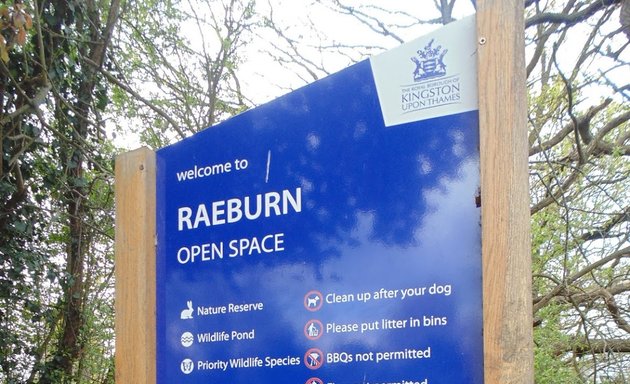 Photo of Raeburn Open Space