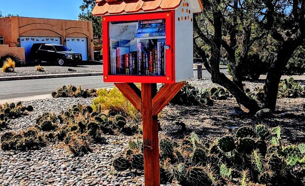 Photo of Little Free Library