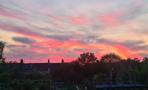 Photo of West Wickham Allotments