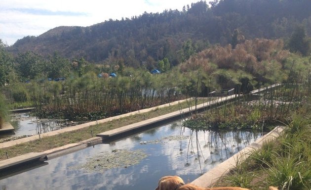 Foto de Parque Bicentenario, Vitacura