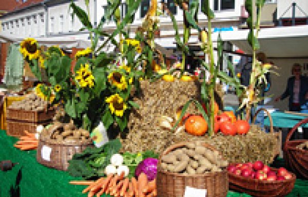 Foto von Havelländischer Land- und Bauernmarkt