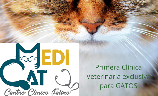 Foto de MediCat exclusivo para Gatos