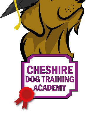 Photo of Cheshire Dog Training Academy