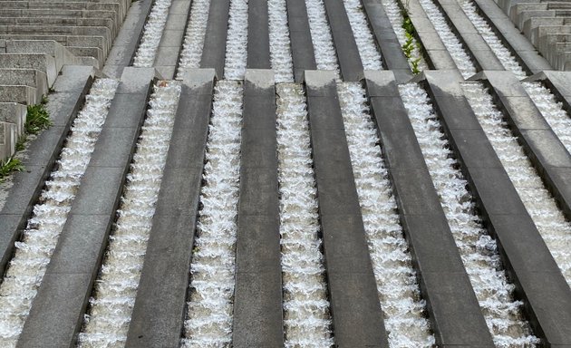 Photo de Parc de Bercy