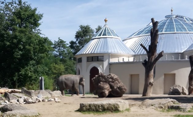 Foto von Abenteuer-Spielplatz