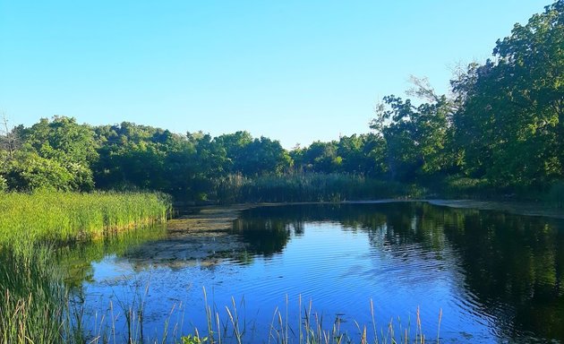 Photo of Culham Pond