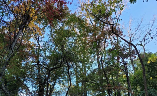 Photo of Roslindale Wetlands Urban Wilds