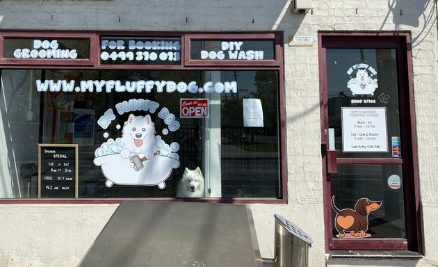 Photo of My Fluffy Dog Grooming Services