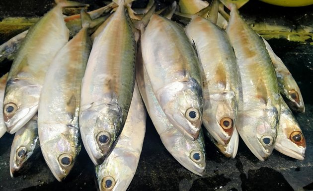 Photo of mangalore fish market
