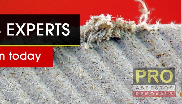Photo of Pro Asbestos Removal Adelaide