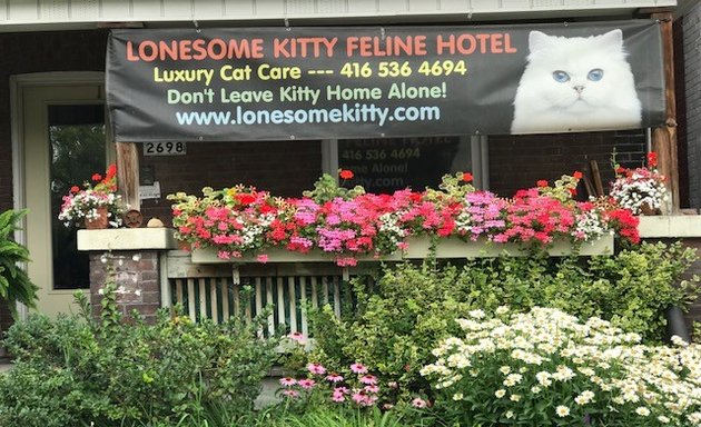 Photo of Lonesome Kitty Feline Hotel and Diggity Dog Canine Hotel